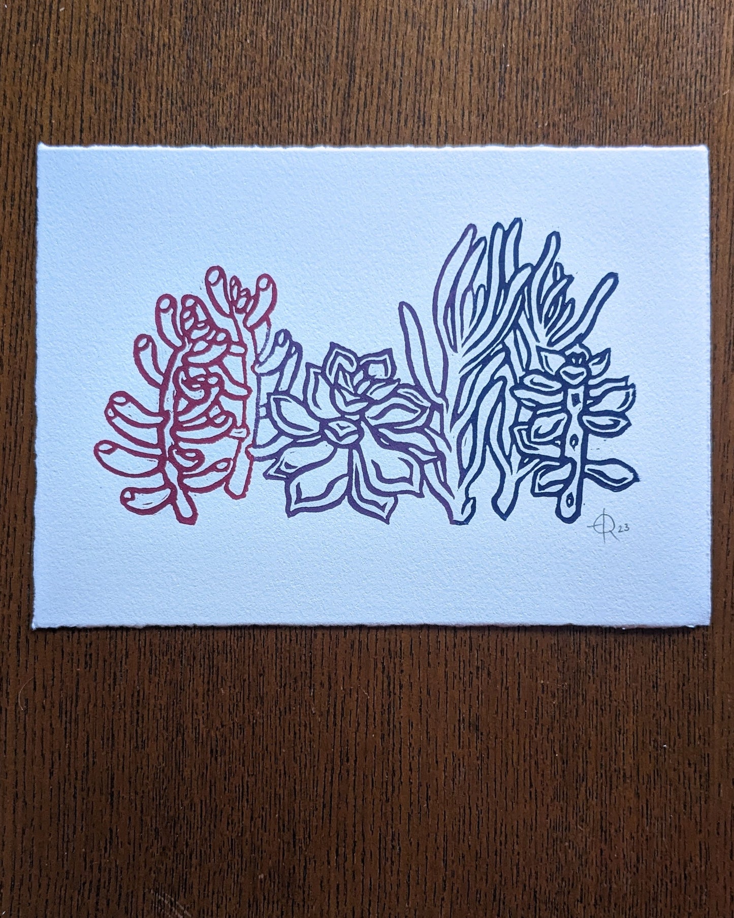 Lino Print - Succulents (Bi Flag Variation)