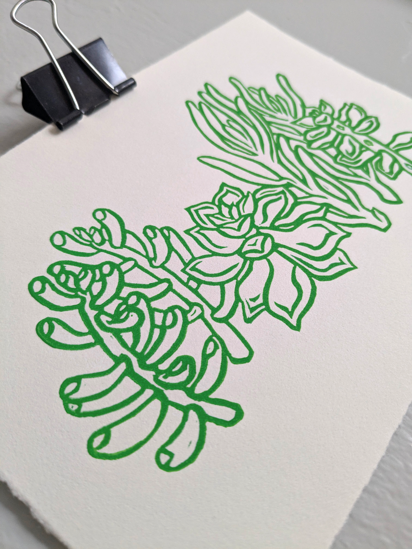 Lino Print - Succulents (Green)